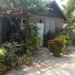  Apartment 11 Glenhope Avenue Jamaica